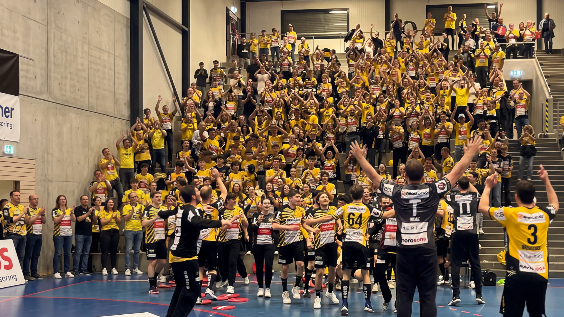 News Handball Stäfa